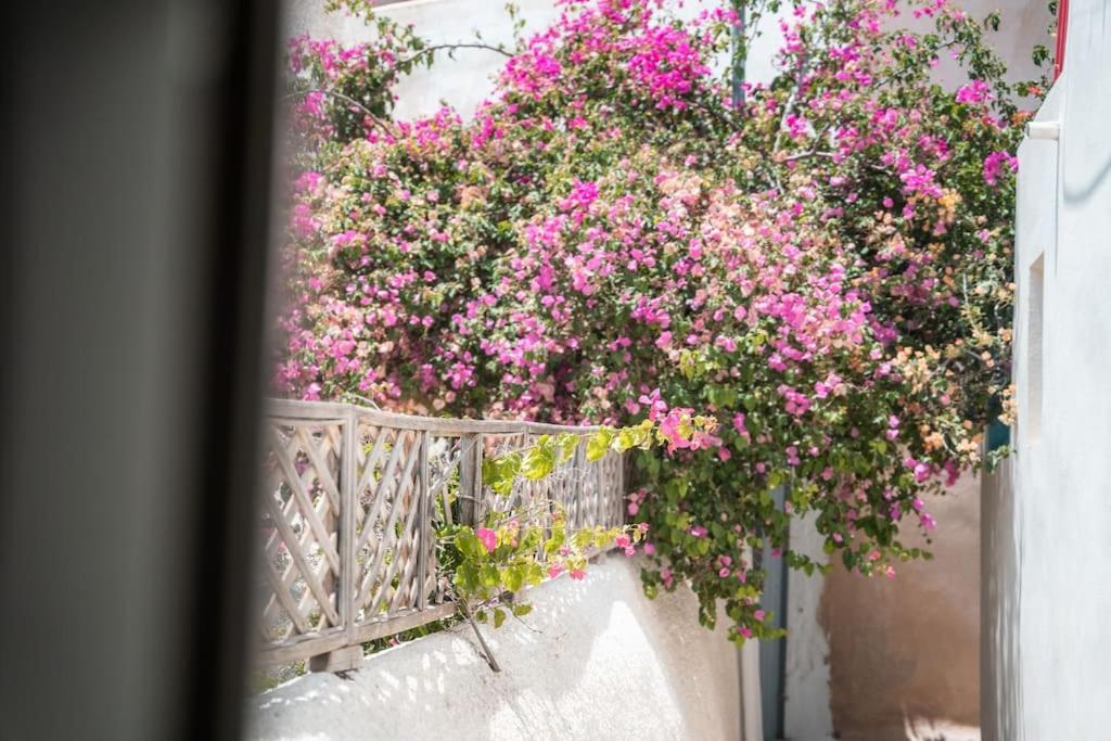 Akri Santorini With Heated Jacuzzi Villa Emporio  Dış mekan fotoğraf